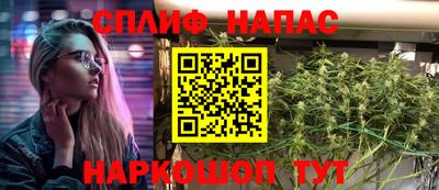 индика Ливны