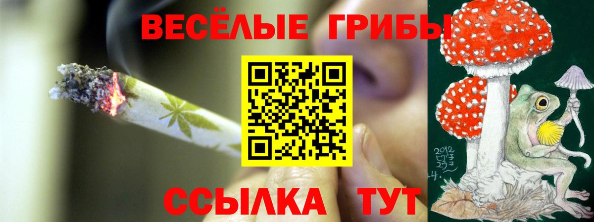 Псилоцибиновые грибы GOLDEN TEACHER  Вход с VPN  Железногорск  Псилоцибиновые грибы мухоморы 